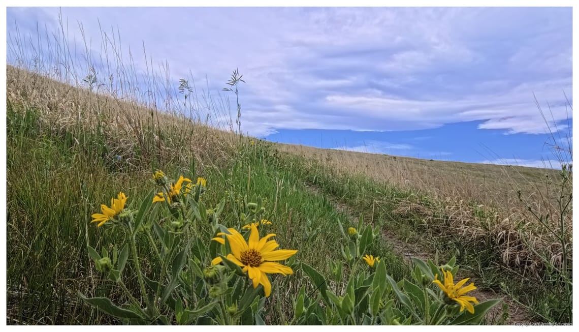 Low perspective on the ridge