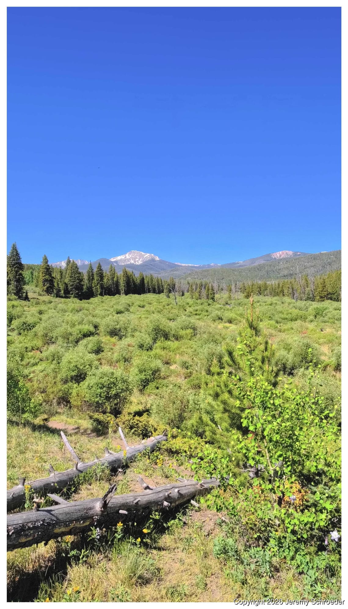 High altitude greenery and big skies