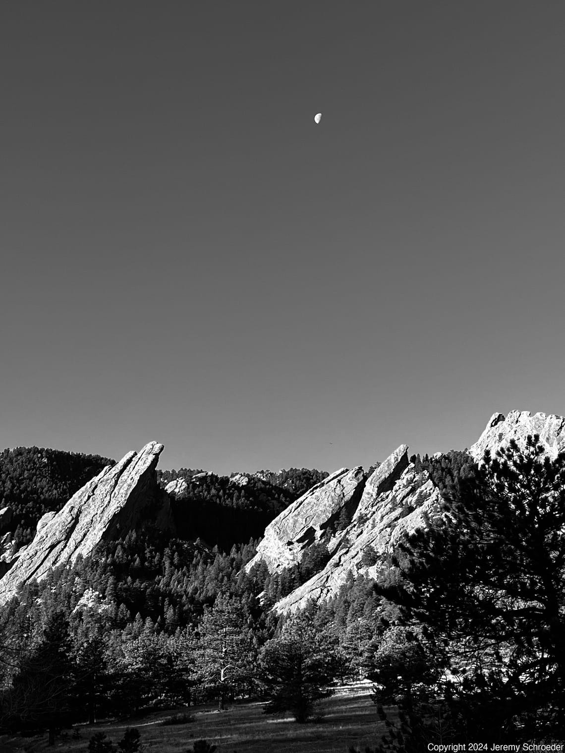 Moon watching over the flats