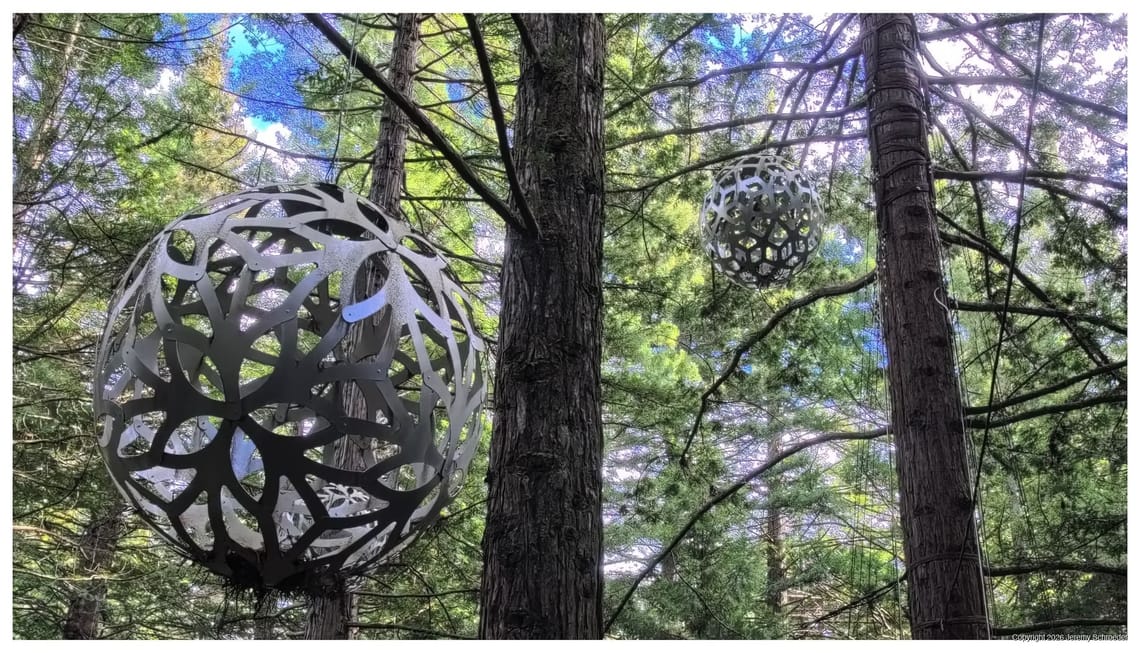 Metal Spheres Hanging in the Pines