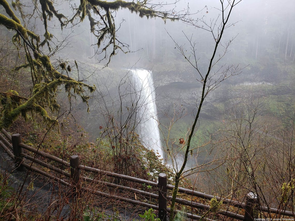 Mist Cloaked Waterfalls and Mossy Branches