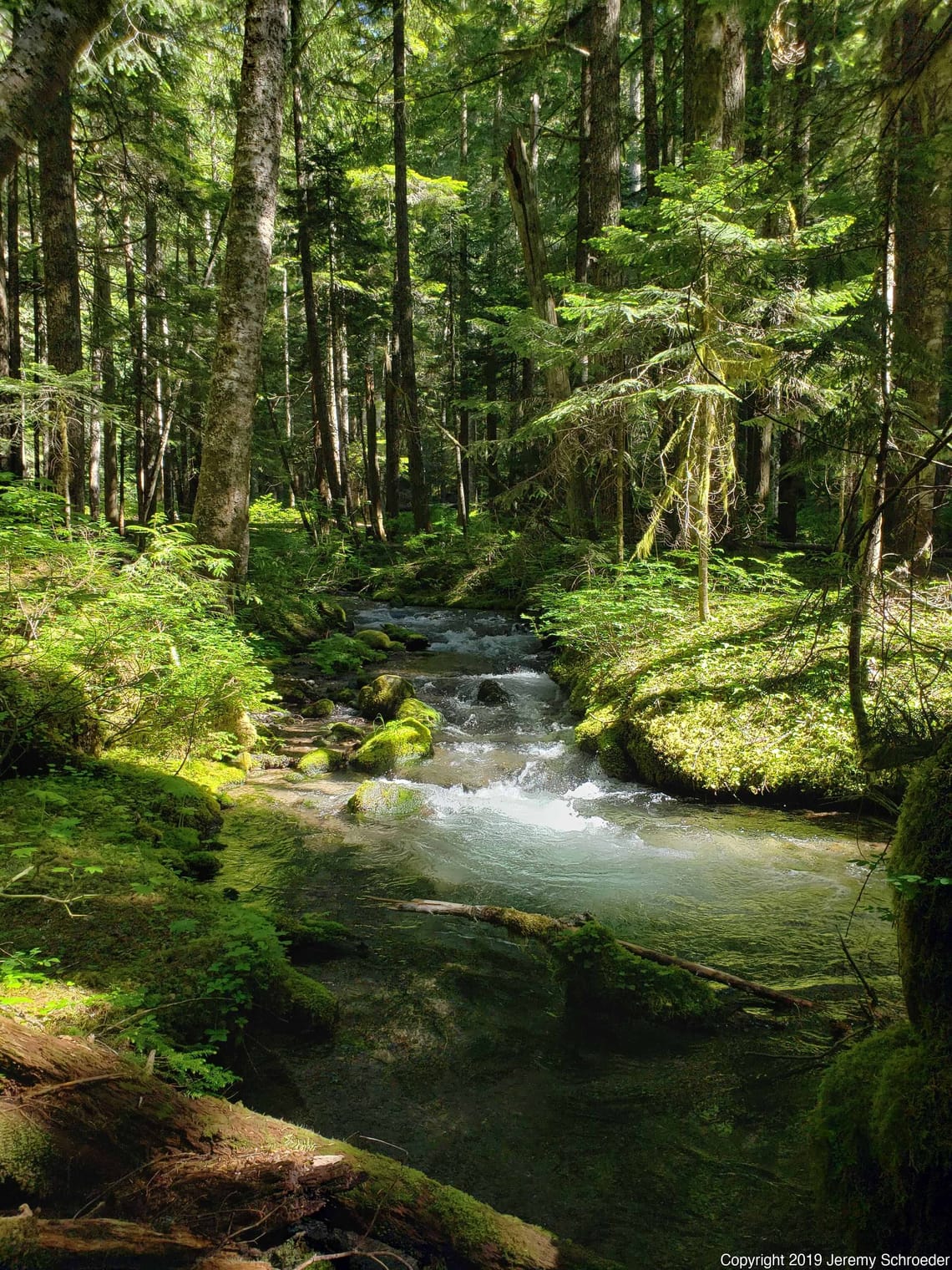 Mossy Rocks and Moving Water