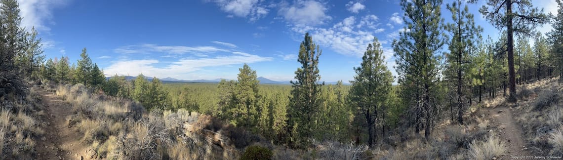 High Desert Pines and Distant Peaks