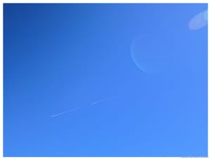 A Single Streak of White