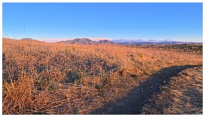 Golden hour gold mine