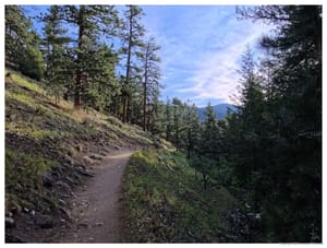 The Long Way Around