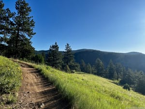 High country dirt and morning light