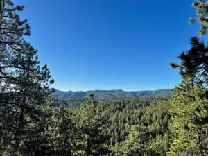 Deep Green Ridges and High Noon