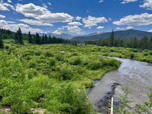 Greenery and high desert vibes
