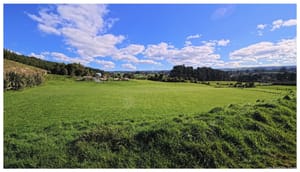 Wide Angle Greeneryed Hillside