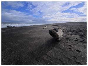 Black Sand and Lonely Bones