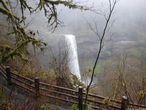 Mist Cloaked Waterfalls and Mossy Branches