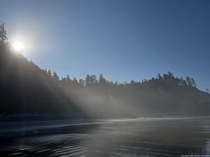 Sunbeams Cutting Through the Shoreline Mist