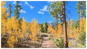 Peak color on the Fraser trail